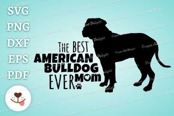 A Designer’s Take on 
